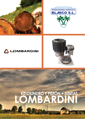 www.agricolablasco.com_repuestos_motor_lombardini