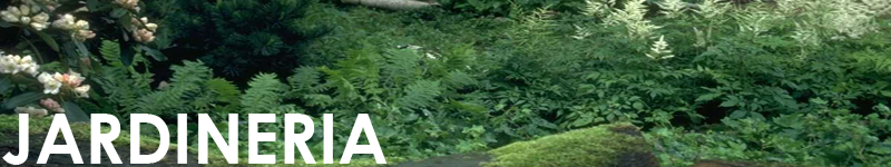 Agricola Blasco jardineria