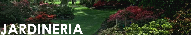 Agricola Blasco Jardineria